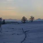 شقة Langegger Alm - Sennerstube