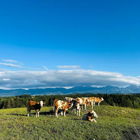 Langegger Alm - Sennerstube Lägenhet *