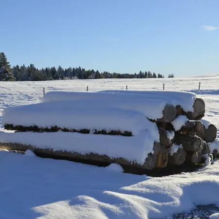 Langegger Alm - Sennerstube