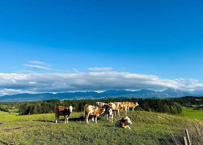 Langegger Alm - Sennerstube Appartamento *