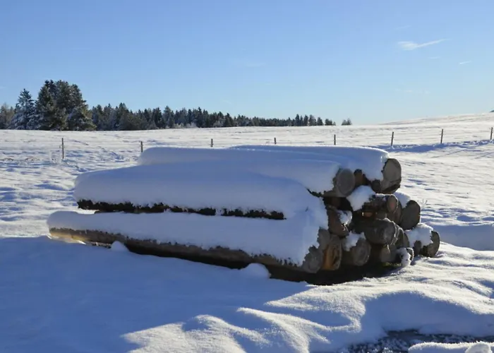 Langegger Alm - Sennerstube